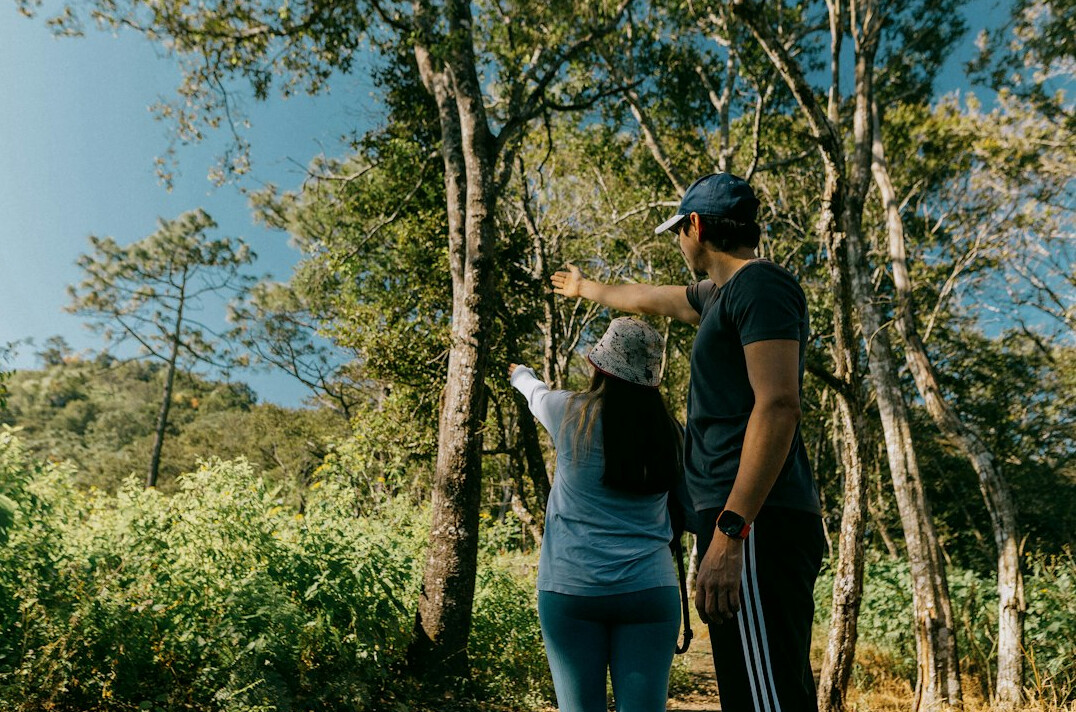 person walking in nature